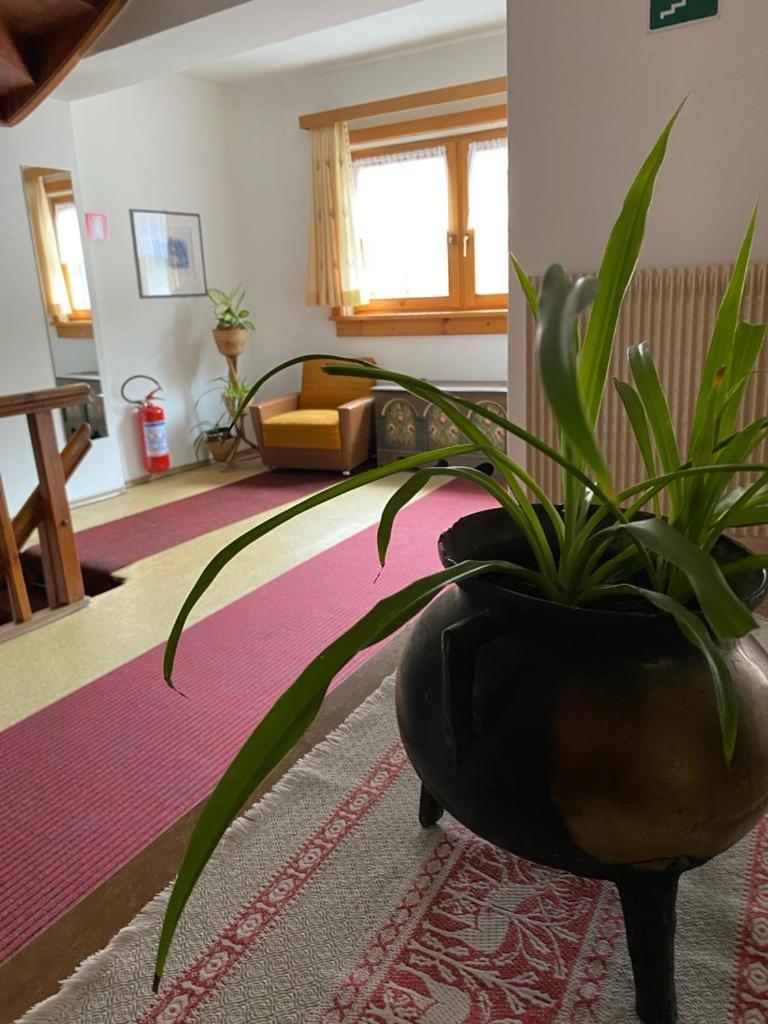Hotel Garni Sonne Malles Venosta Zewnętrze zdjęcie